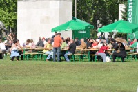 szorfdeszka.hu