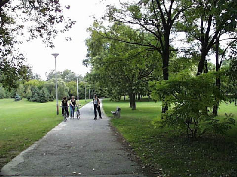 PIC00012